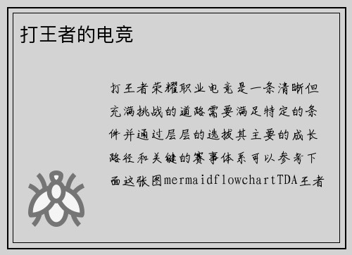 打王者的电竞